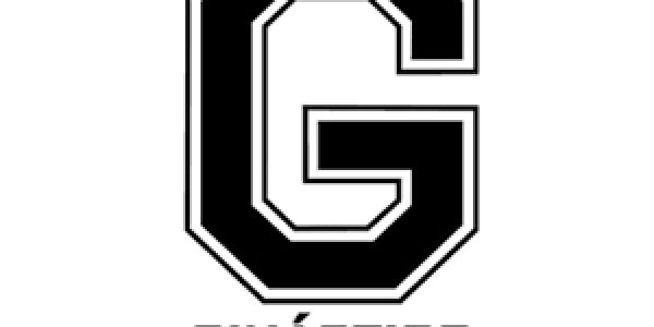 ginastico
